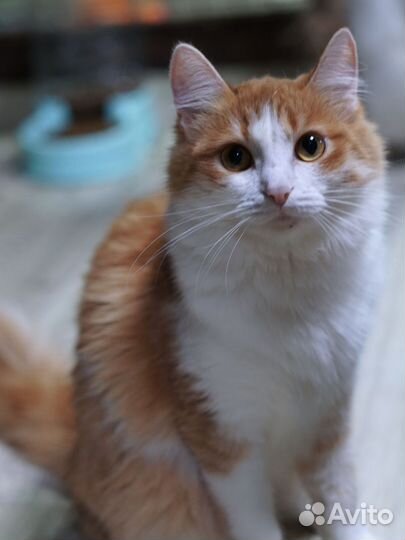 Шарлотта, 1 год