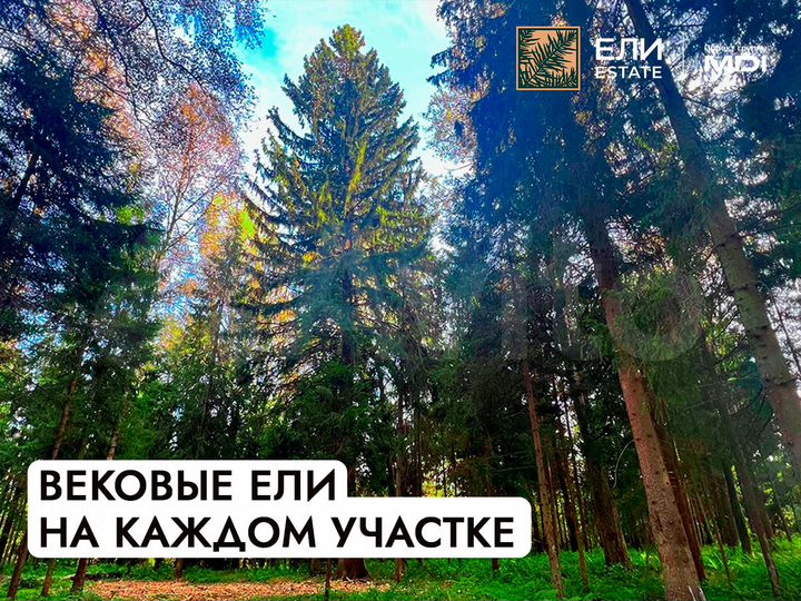 Участок 7,6 сот. (ИЖС)