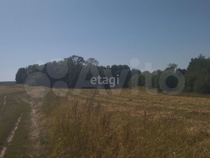 Участок 60 сот. (ИЖС)