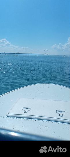 Лодка Днепр