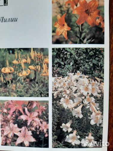 Наборы открыток СССР