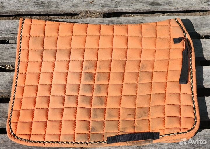 Амуниция для лошади и пони