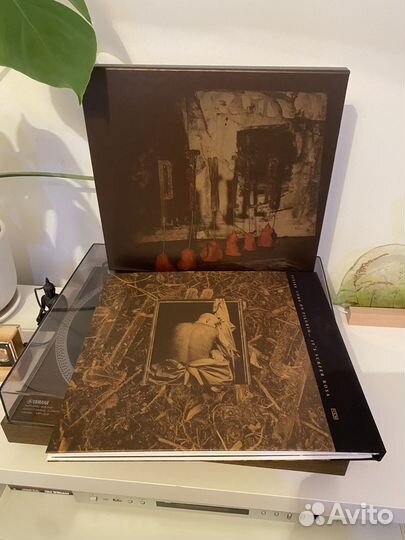 Pixies – Come On Pilgrim. It's Surfer Rosa