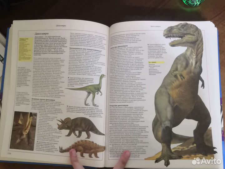 Книга «Большая энциклопедия школьника oxford»