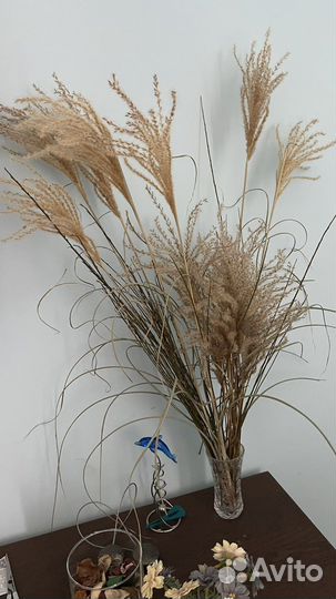 Натуральный сухоцвет