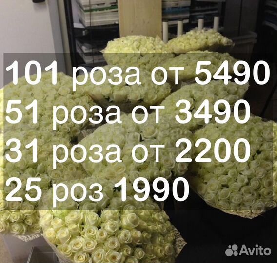 31 роза 25 роз Цветы Доставка