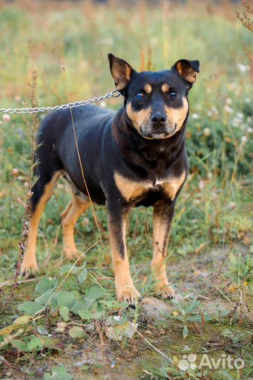 Девочка ищет семью