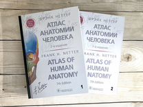 Атлас анатомии человека Неттер
