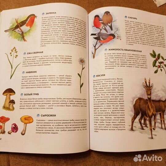 Природа россии энциклопелия