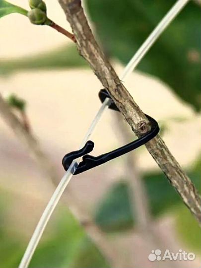 Держатель фиксатор садовый для подвязки растений Л