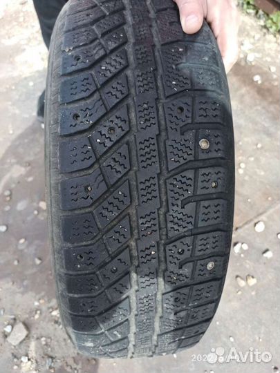 Brasa IceControl 195/65 R15