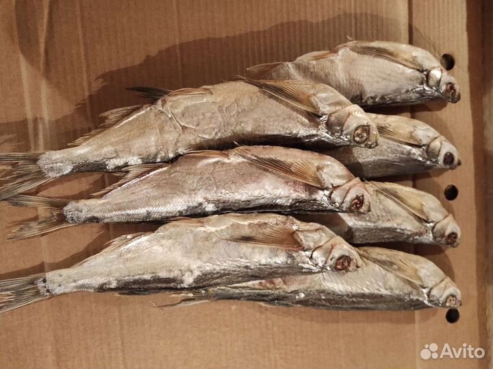 Рыба в розницу