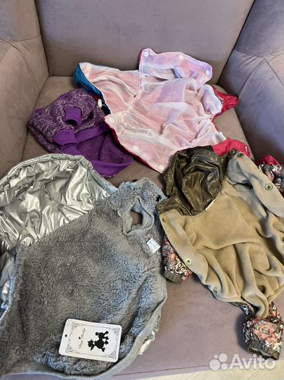 Одежда для маленьких собак s цена за все