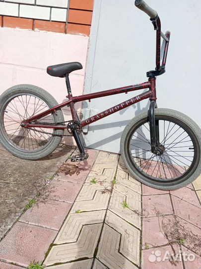 Бмх Tech Team Grasshopper