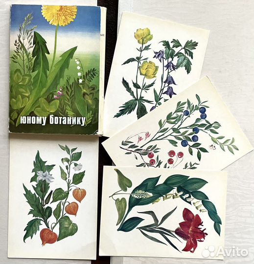 Винтажные открытки