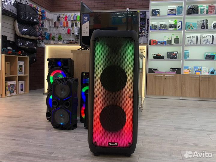 Колонка eltronic 20-61 1000W динамик 2шт/10