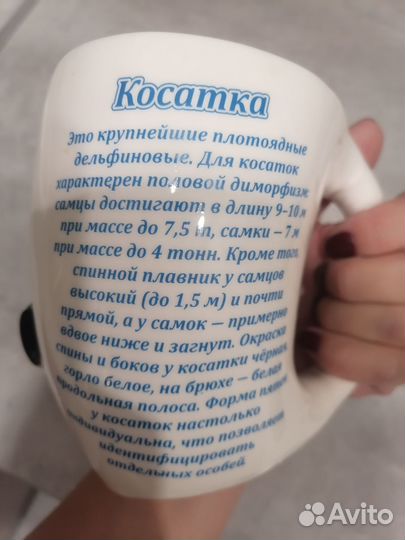 Кружка косатка 3д