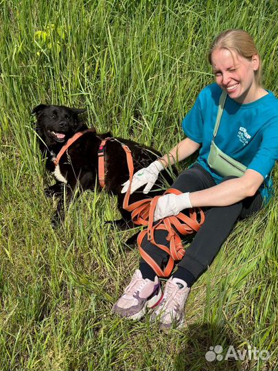 Настоящий Мишка из приюта