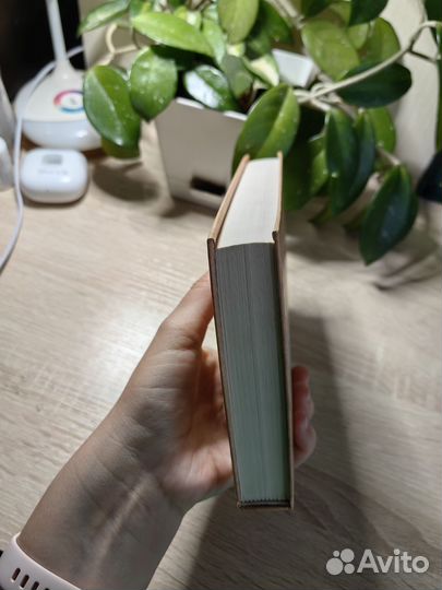 Книга Мастер ветров и закатов. Макс Фрай