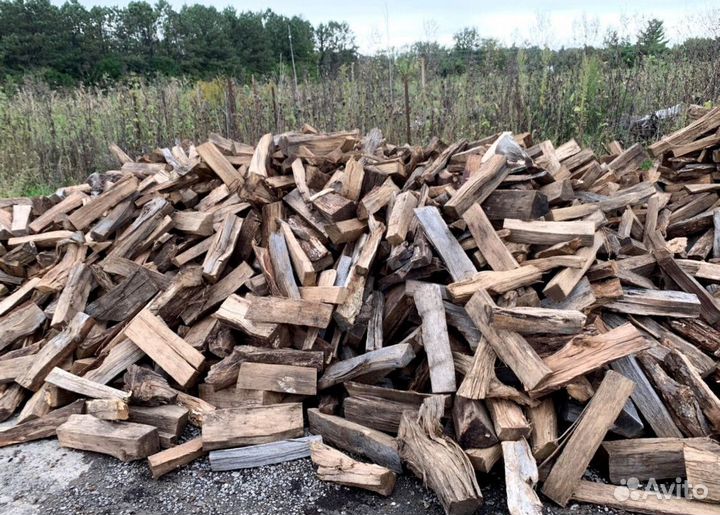 Дрова в баню