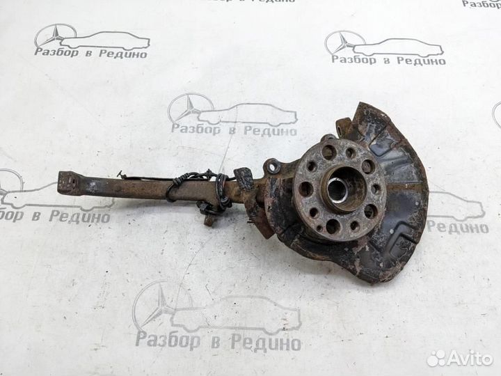 Кулак поворотный передний левый w220 S-class 11