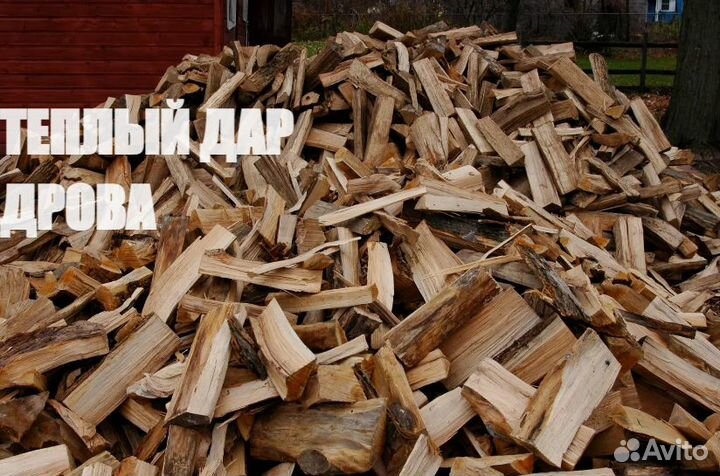 Дрова