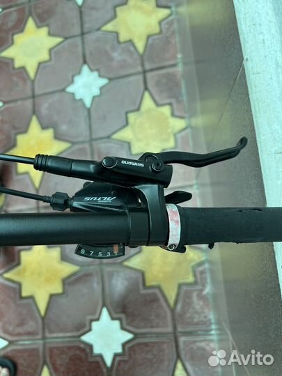 Велосипед welt ranger 1.0 29 (2023)