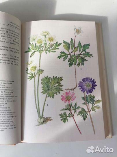 Книга с ботаническими рисунками Альпинарий