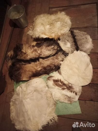 Козья шкура