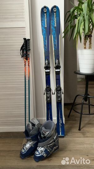 Горные лыжи