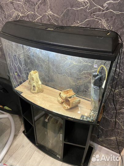 Аквариум с тумбой 100 литров