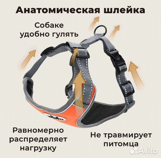 Шлейка для собак анатомическая MiloPets