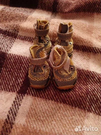 Обувь для маленьких собак