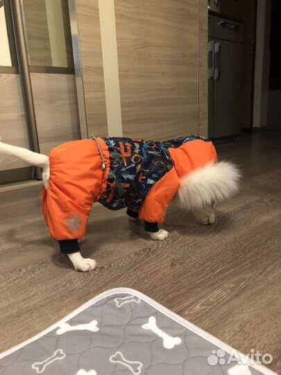 Зимний комбинезон для собак