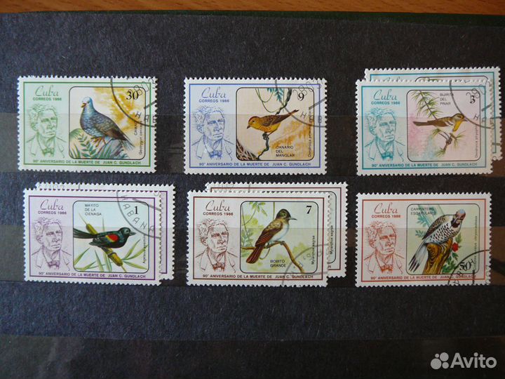 Фауна. Марки времен СССР