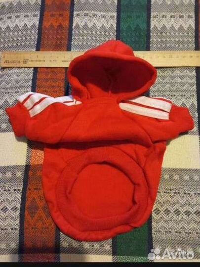 Одежда для собак