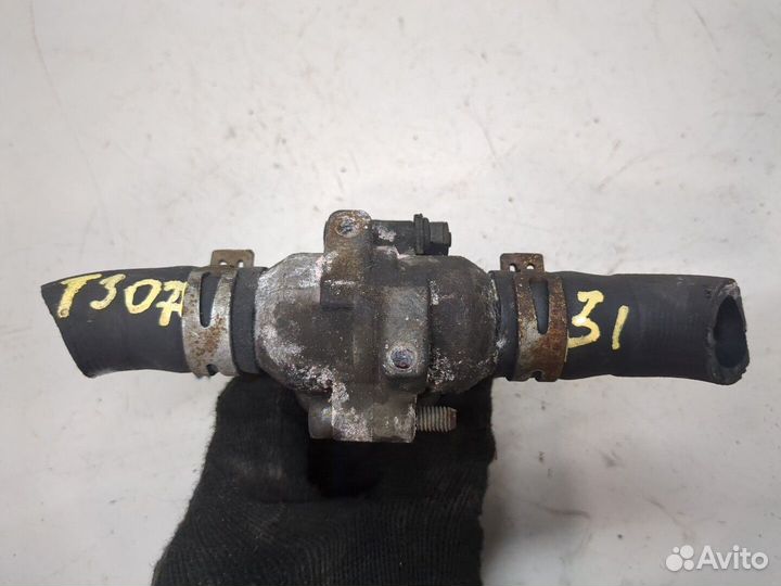 Нагреватель системы охлаждения Renault Scenic, 201