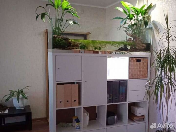 Аквариум, паллюдариум + стеллаж IKEA