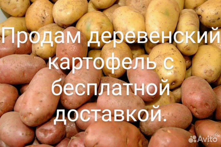 Деревенский картофель с доставкой