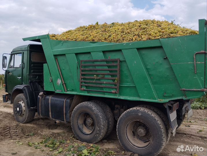 КАМАЗ 65115, 2000