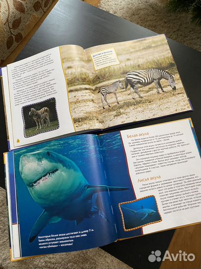Книги для детей