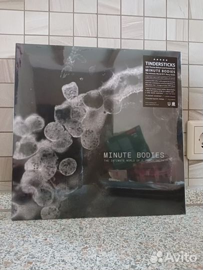 Tindersticks Minute Bodies LP 2017