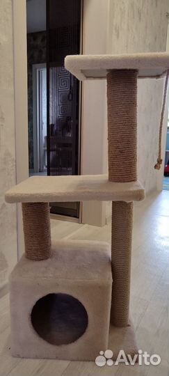 Когтеточка для кошки с домиком