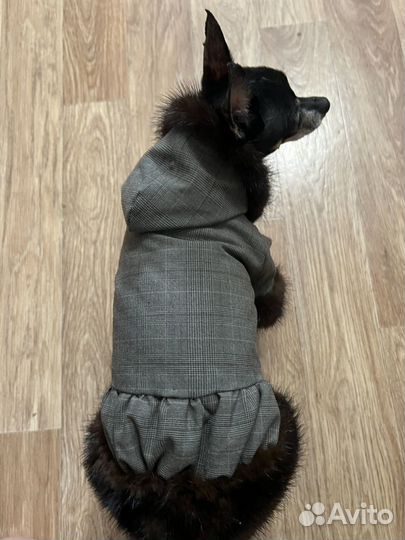 Пальто для собаки с отделкой из натуральной норки