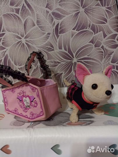 Собачка чичилав