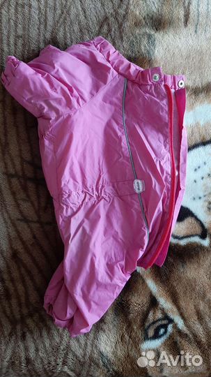 Одежда и обувь для собак