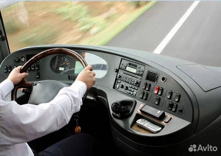 Водитель автобуса категории д