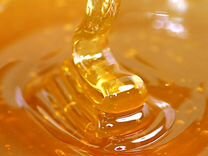 Мёд натуральный алтайский оптом min 16kg