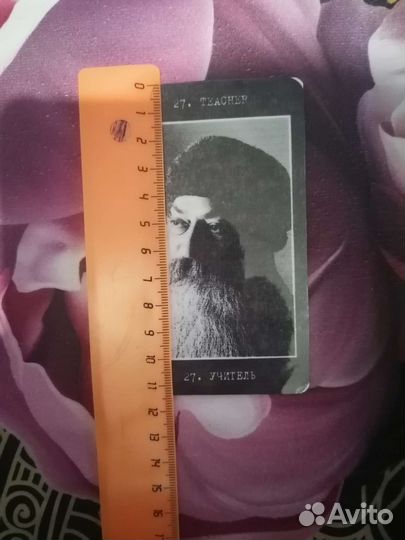 Оракул Шелоб