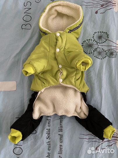 Комбинезон для маленькой собаки